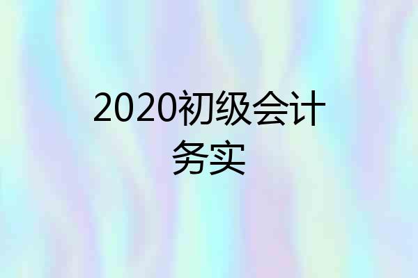 2020初级会计务实