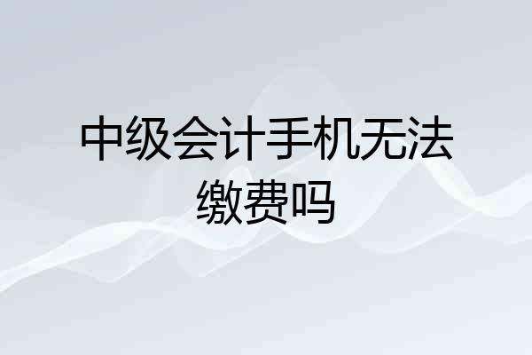 中级会计手机无法缴费吗