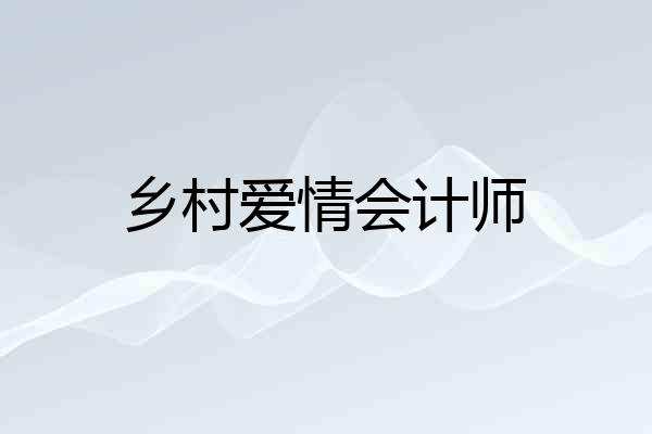 乡村爱情会计师