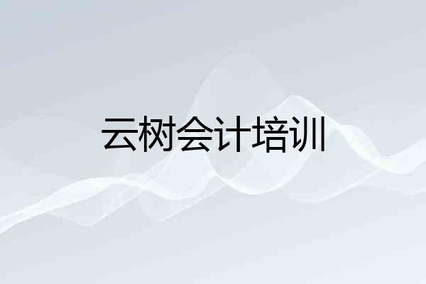 云树会计培训