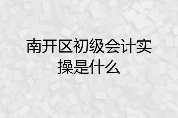 南开区初级会计实操是什么
