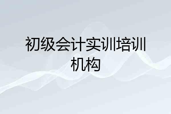 初级会计实训培训机构