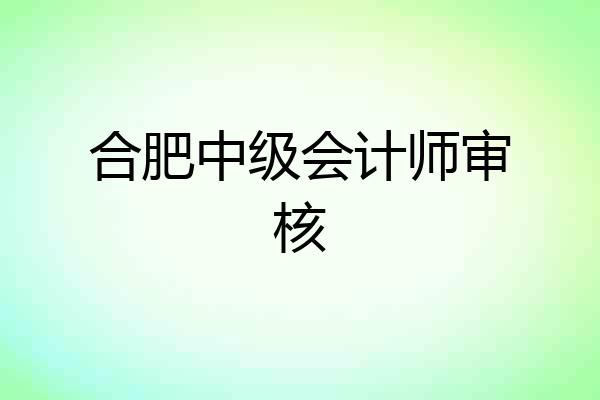 合肥中级会计师审核