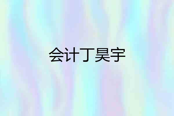 会计丁昊宇