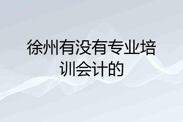 徐州有没有专业培训会计的