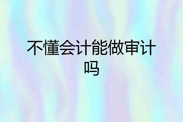 不懂会计能做审计吗