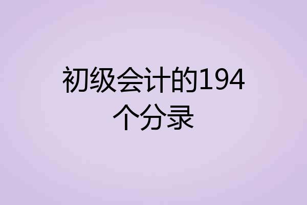 初级会计的194个分录