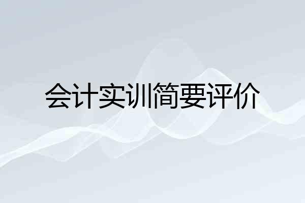 会计实训简要评价