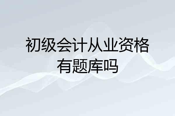 初级会计从业资格有题库吗