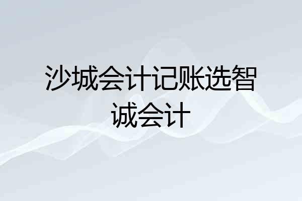沙城会计记账选智诚会计