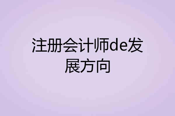 注册会计师de发展方向