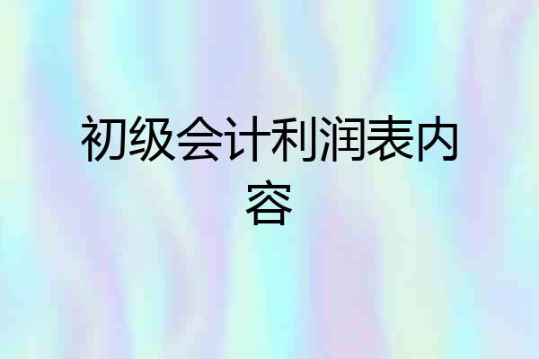 初级会计利润表内容