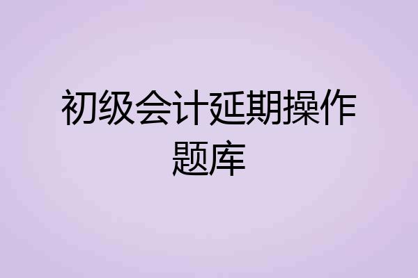 初级会计延期操作题库