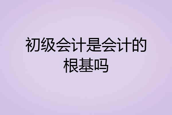 初级会计是会计的根基吗