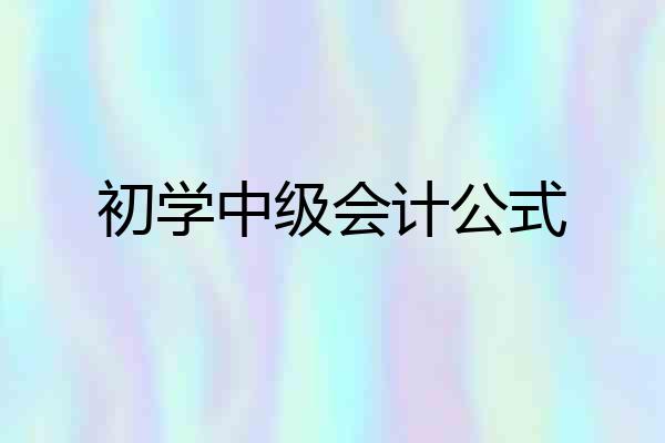 初学中级会计公式