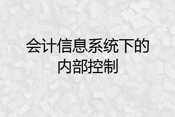 会计信息系统下的内部控制