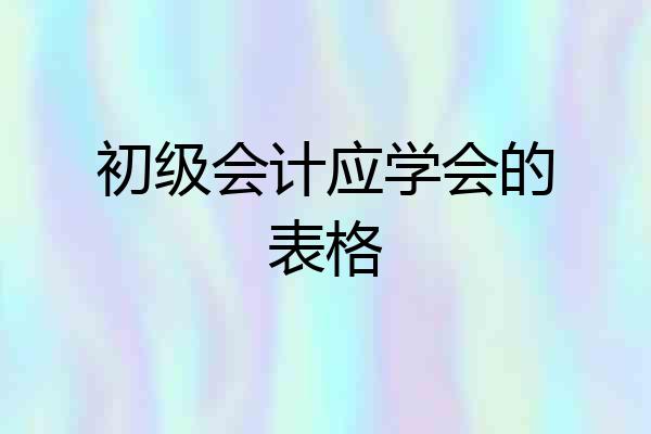 初级会计应学会的表格