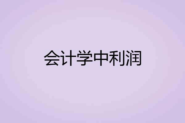 会计学中利润