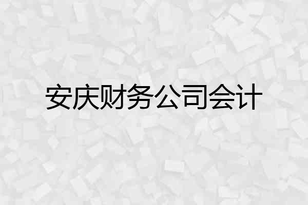 安庆财务公司会计