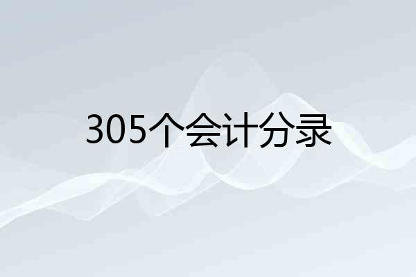 305个会计分录