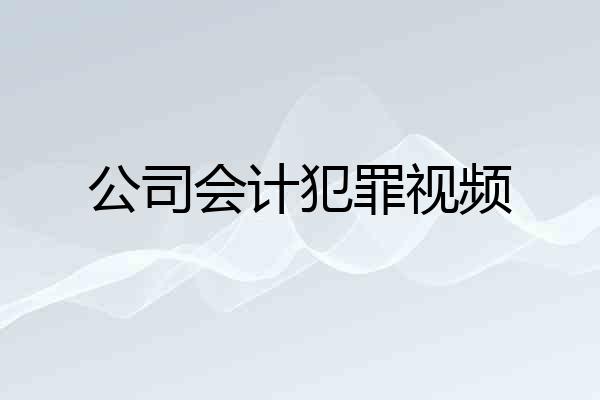 公司会计犯罪视频