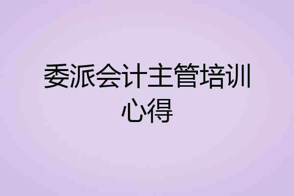 委派会计主管培训心得