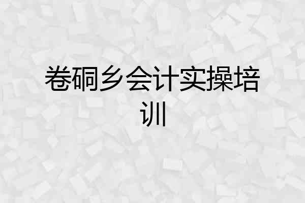卷硐乡会计实操培训