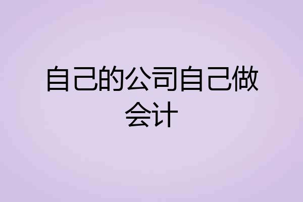 自己的公司自己做会计