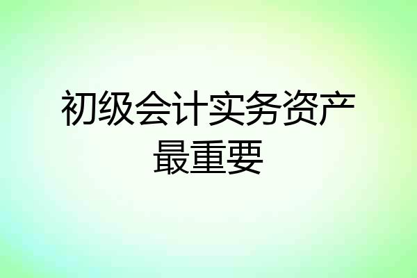 初级会计实务资产最重要