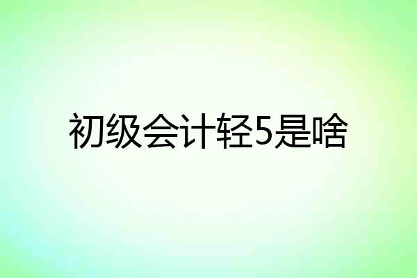初级会计轻5是啥