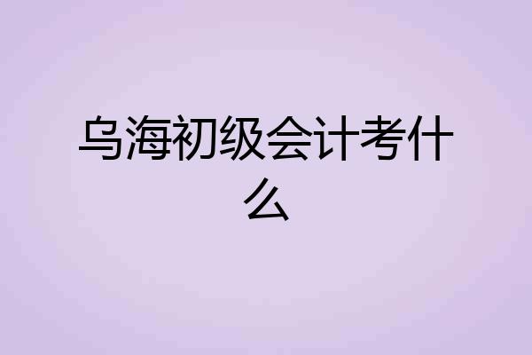 乌海初级会计考什么