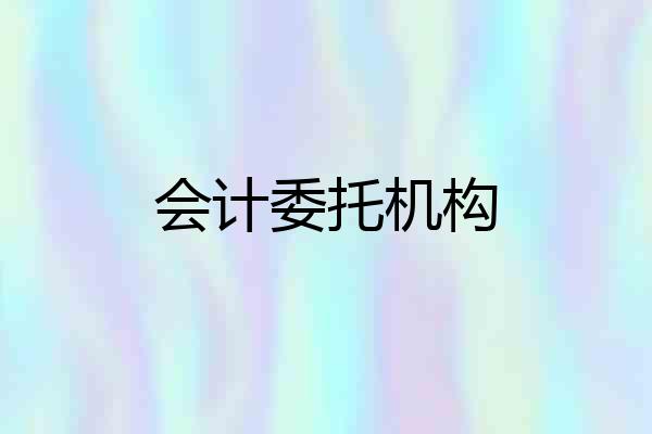 会计委托机构