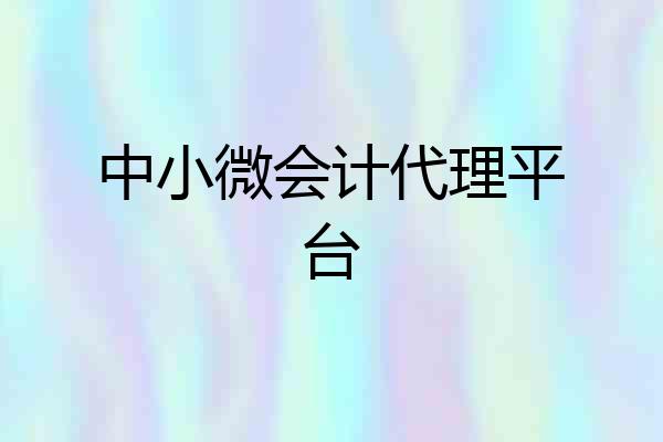 中小微会计代理平台