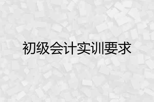 初级会计实训要求