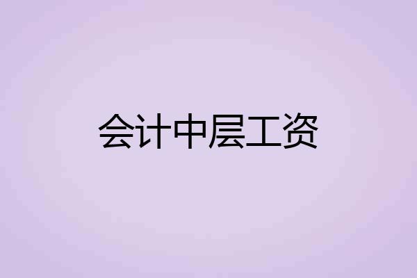 会计中层工资