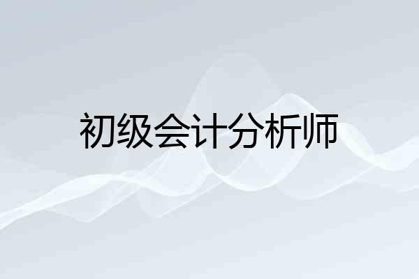 初级会计分析师