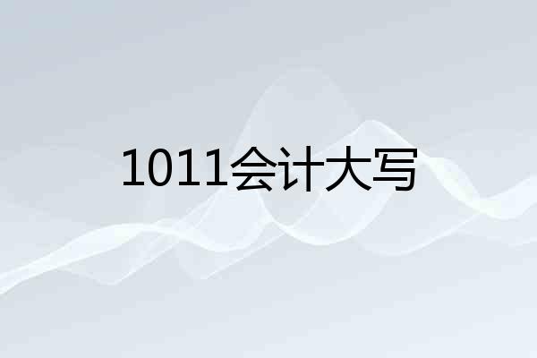1011会计大写