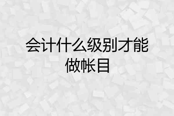 会计什么级别才能做帐目