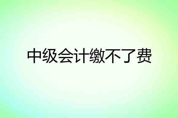 中级会计缴不了费