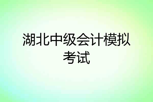 湖北中级会计模拟考试