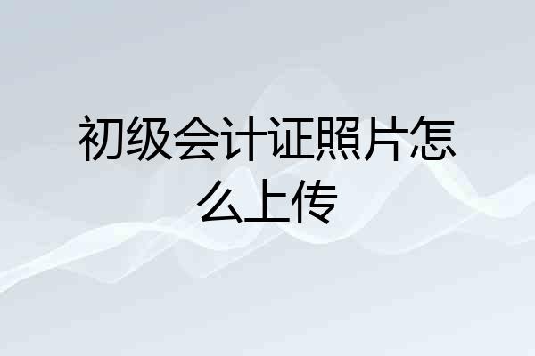初级会计证照片怎么上传