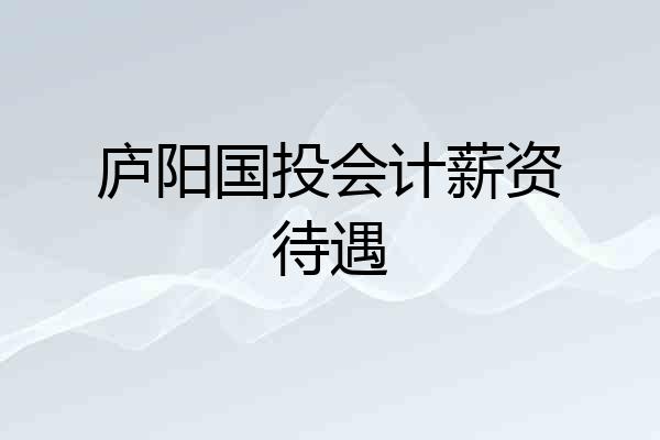 庐阳国投会计薪资待遇