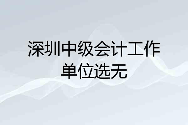 深圳中级会计工作单位选无