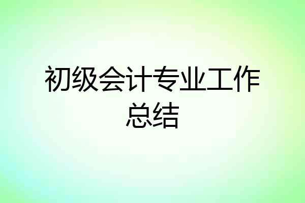 初级会计专业工作总结