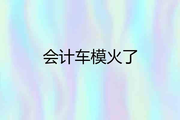 会计车模火了