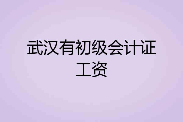 武汉有初级会计证工资