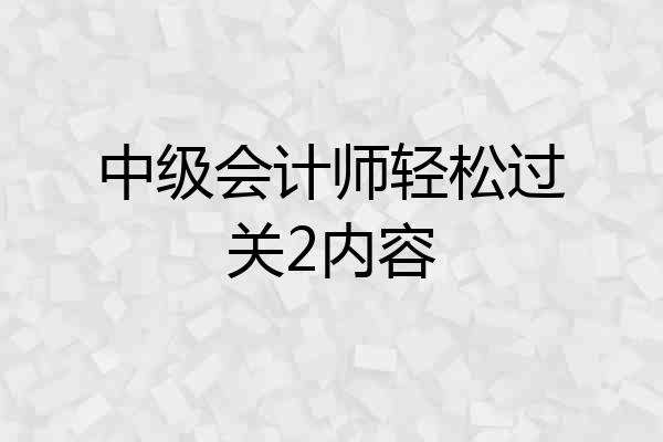 中级会计师轻松过关2内容