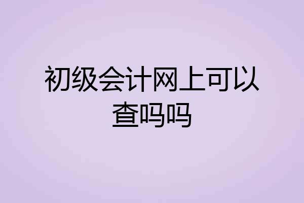 初级会计网上可以查吗吗