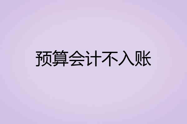 预算会计不入账