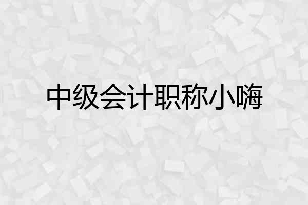 中级会计职称小嗨